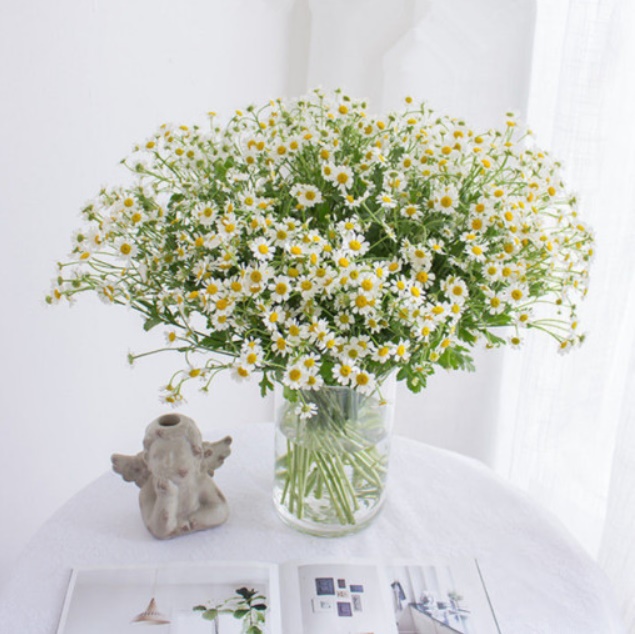 제이킨 데이지조화 샤스타 마가렛 카모마일 예쁜조화 꽃 고급 인테리어 장식 마트리카리아 들꽃